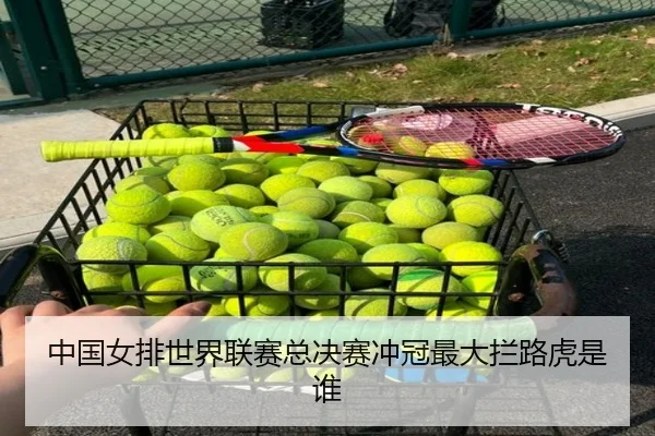 中国女排世界联赛总决赛冲冠最大拦路虎是谁